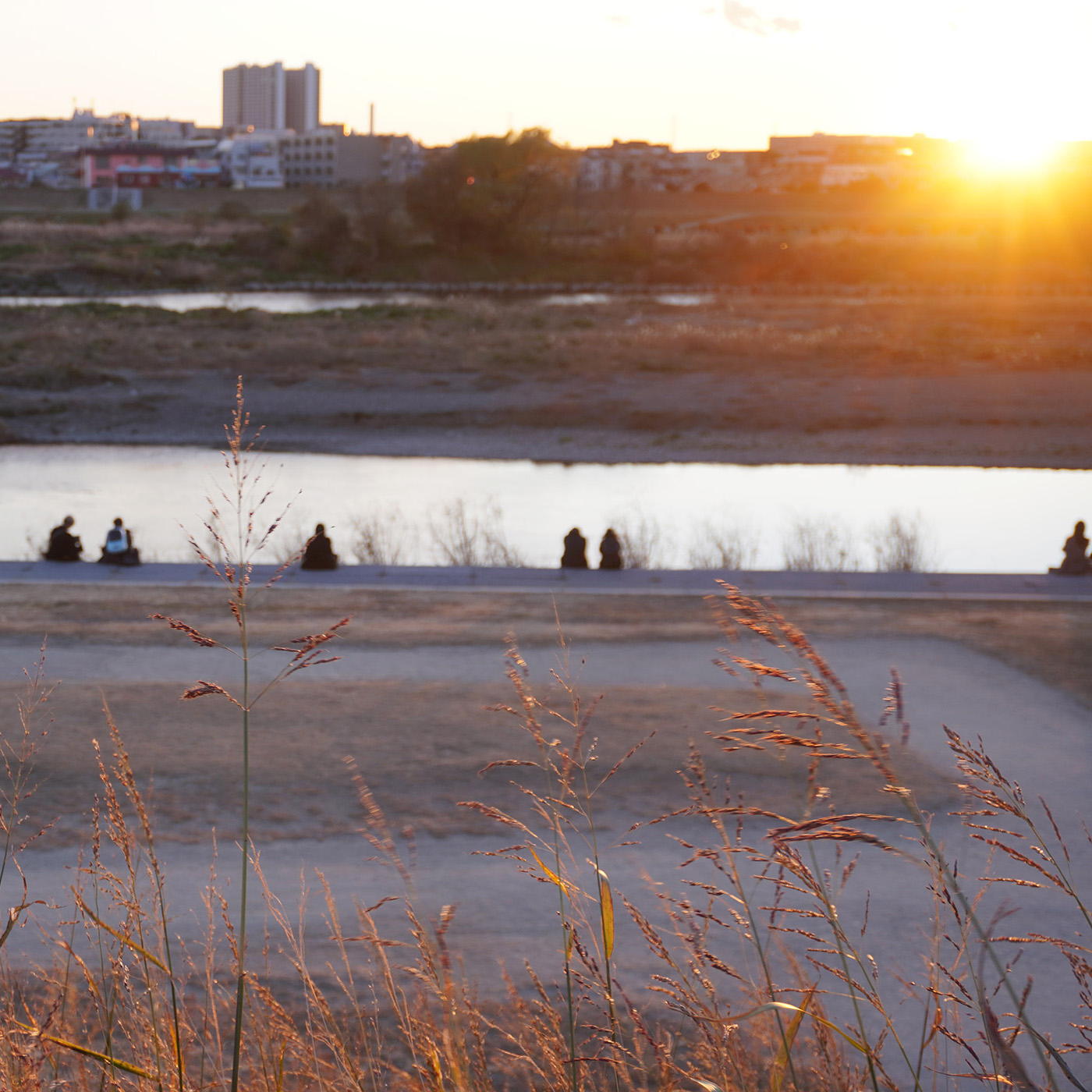 海邊的塞加斯特